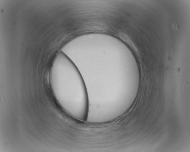 X0000062900021200602101818