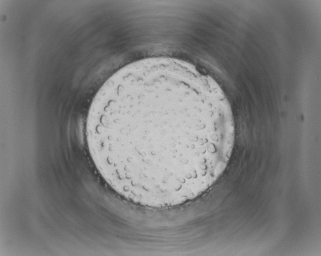 X0000062900022200602101818
