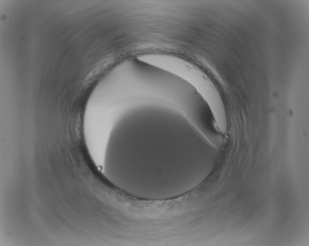 X0000062900023200602101818