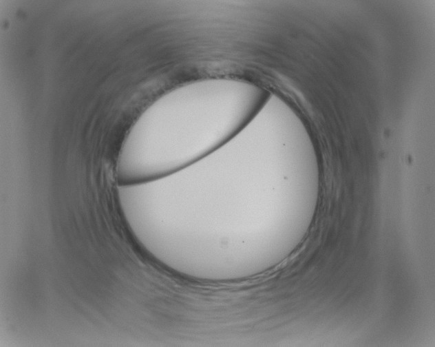 X0000062900025200602101818