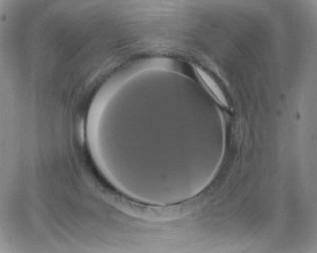 X0000062900027200602101818