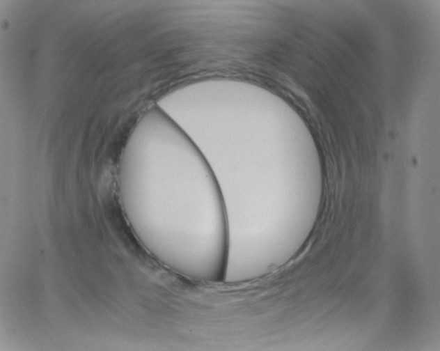 X0000062900029200602101818