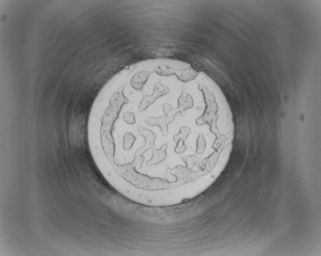 X0000062900030200602101818