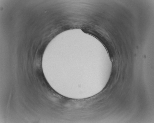 X0000062900033200602101818