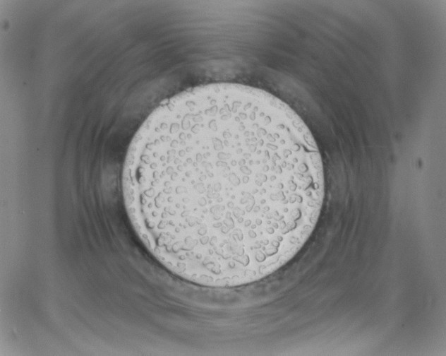 X0000062900034200602101818