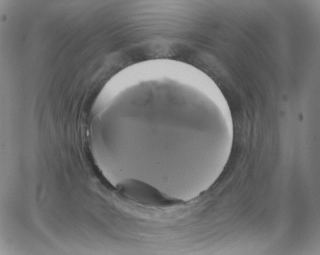 X0000062900035200602101818