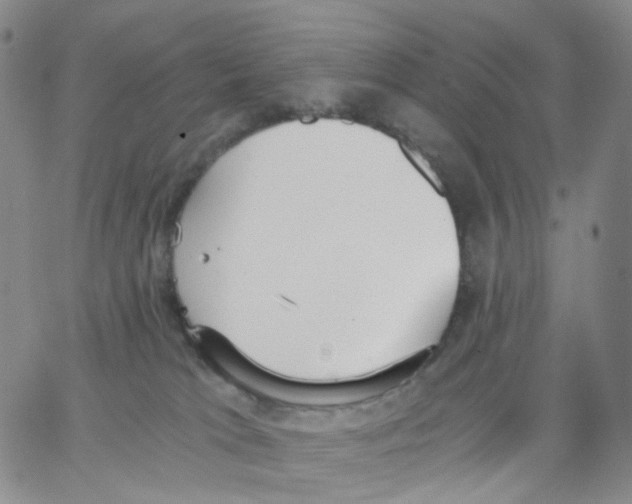 X0000062900037200602101818