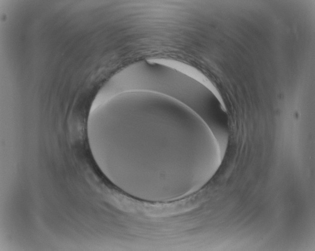 X0000062900039200602101818