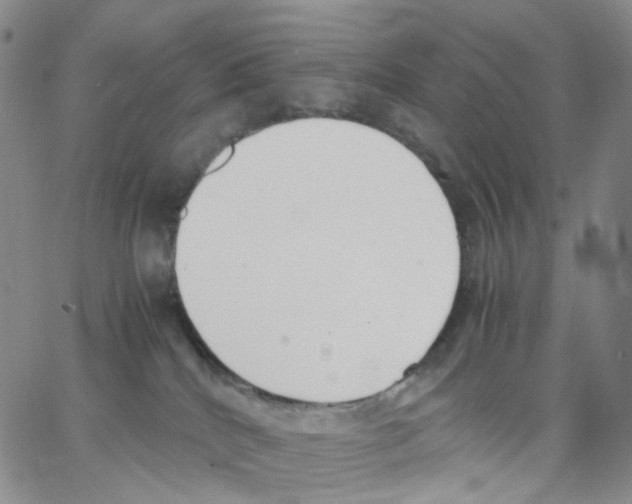 X0000062900040200602101818