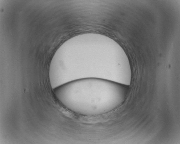 X0000062900041200602101818