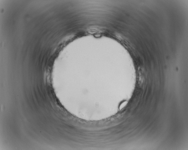 X0000062900042200602101818