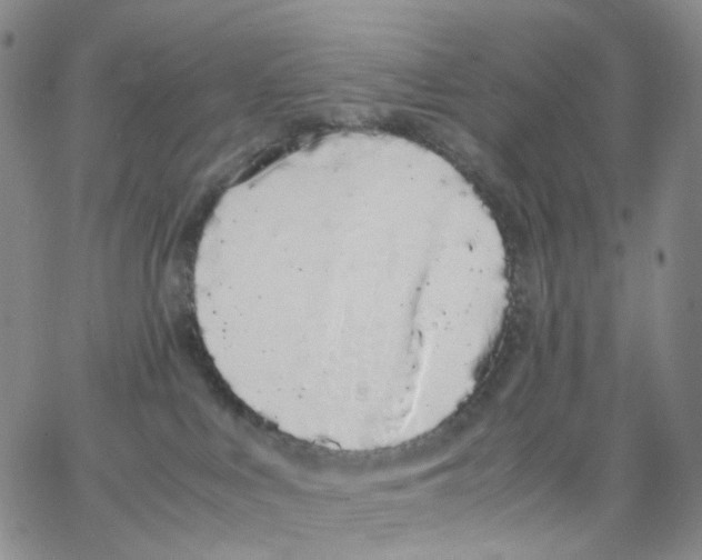 X0000062900043200602101818