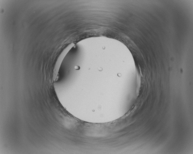 X0000062900045200602101818