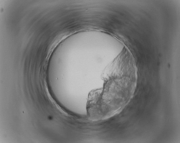 X0000062900049200602101817