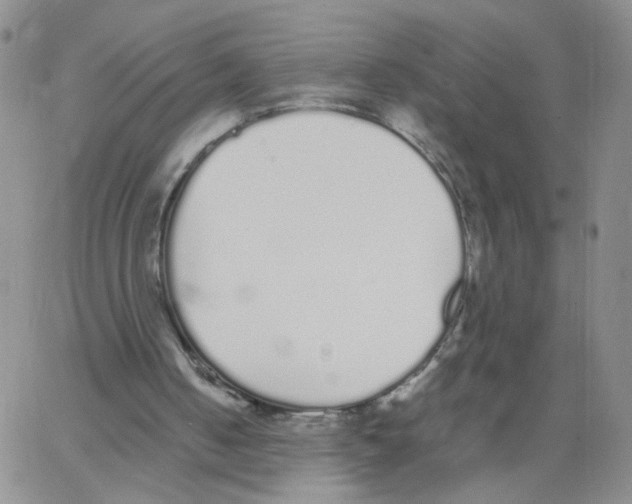 X0000062900050200602101817