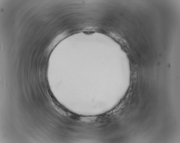 X0000062900051200602101817