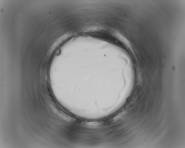 X0000062900059200602101817