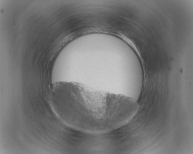 X0000062900061200602101817