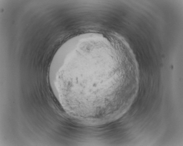 X0000062900069200602101817