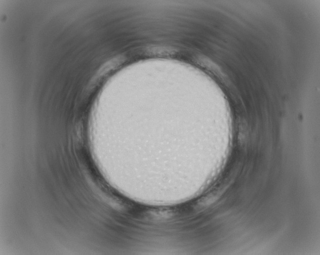 X0000062900071200602101817