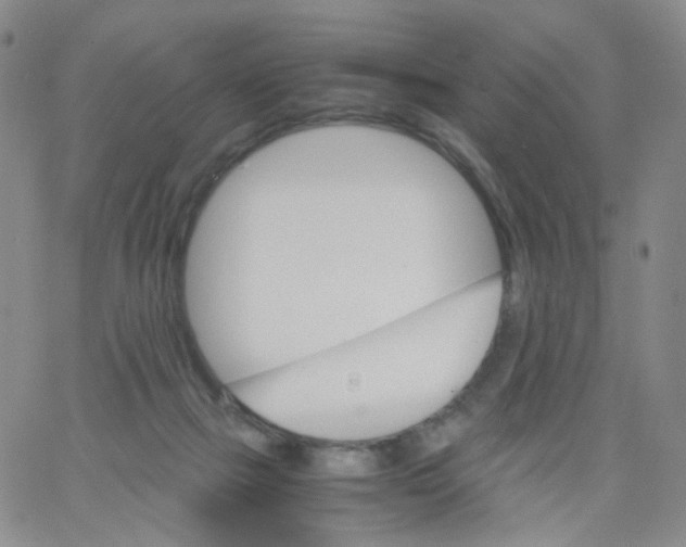 X0000062900073200602101817