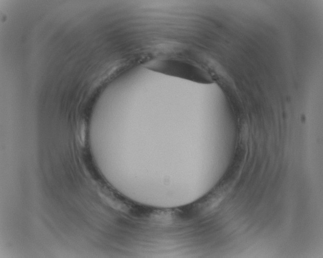 X0000062900076200602101817