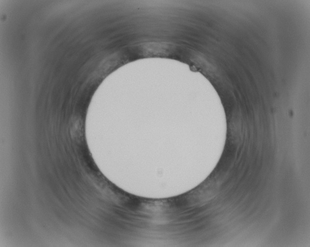 X0000062900079200602101817