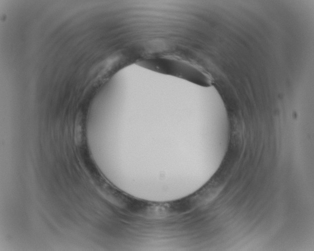 X0000062900080200602101817