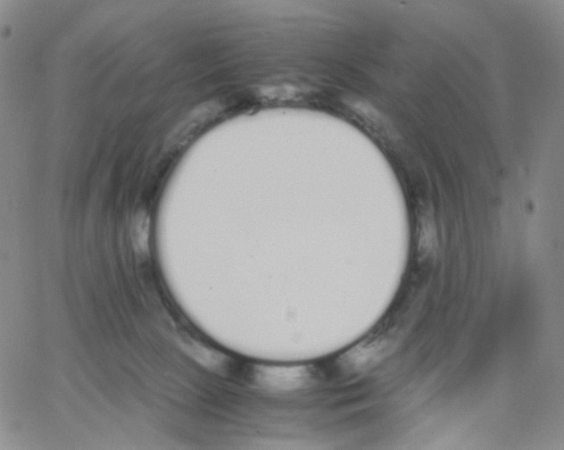 X0000062900081200602101817