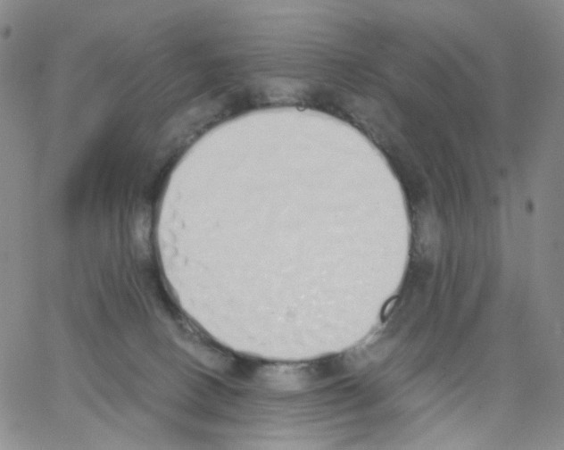 X0000062900082200602101817