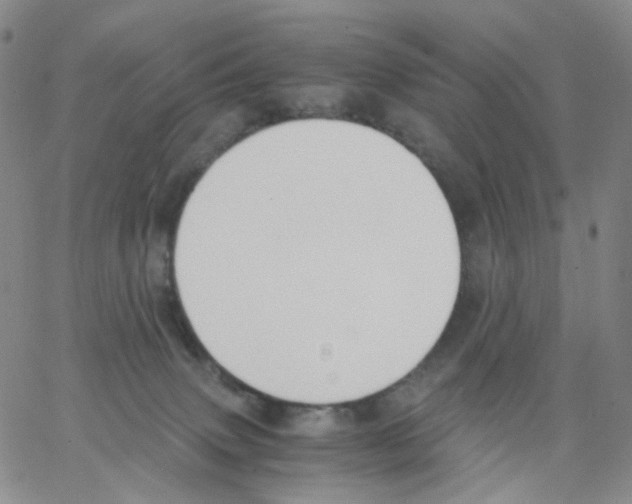 X0000062900083200602101818