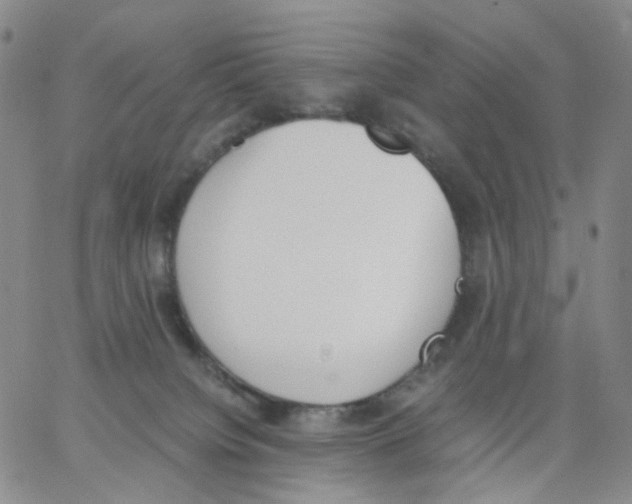 X0000062900084200602101818