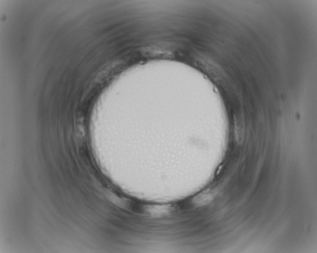 X0000062900085200602101818