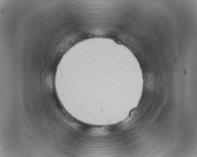 X0000062900086200602101818