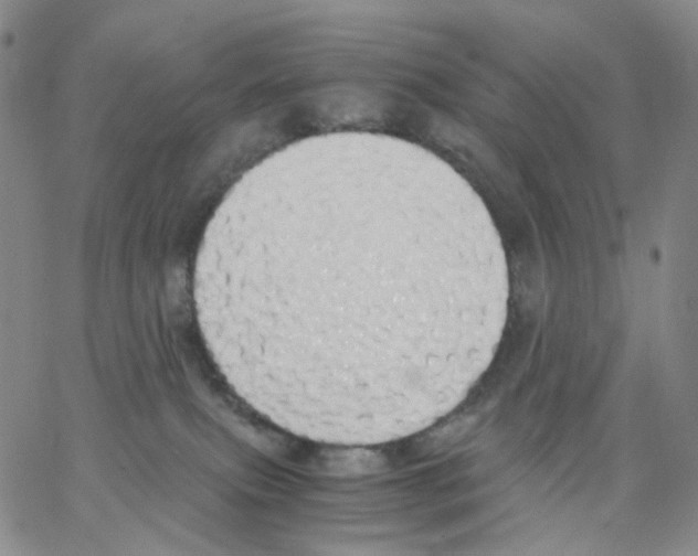X0000062900087200602101818