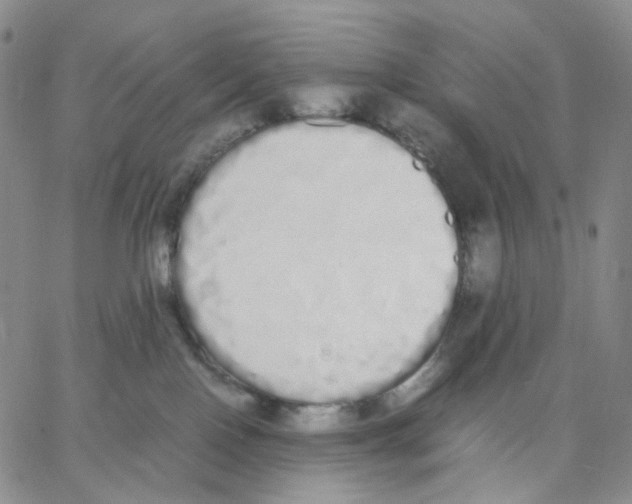 X0000062900090200602101818