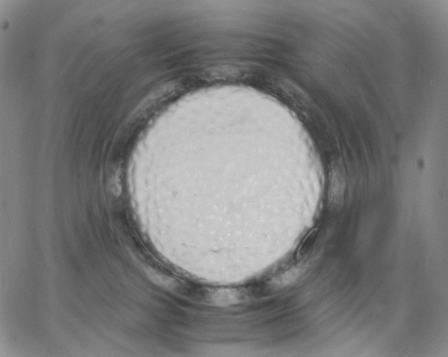 X0000062900091200602101818