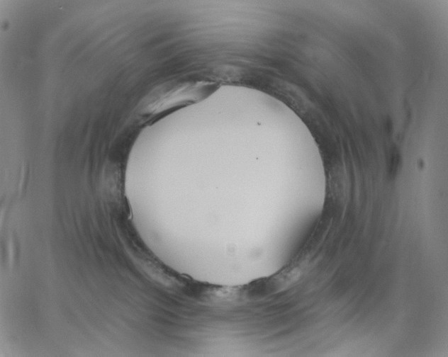 X0000062900092200602101818