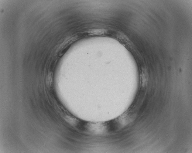 X0000062900093200602101818