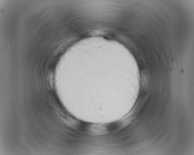 X0000062900094200602101818