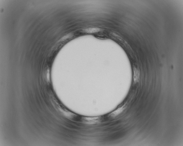 X0000062900095200602101818