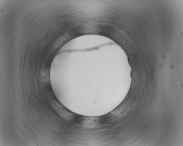 X0000062900096200602101818