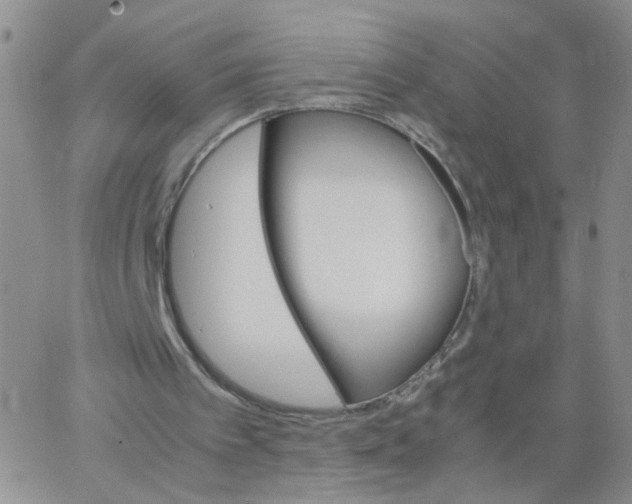 X0000062900097200602101817