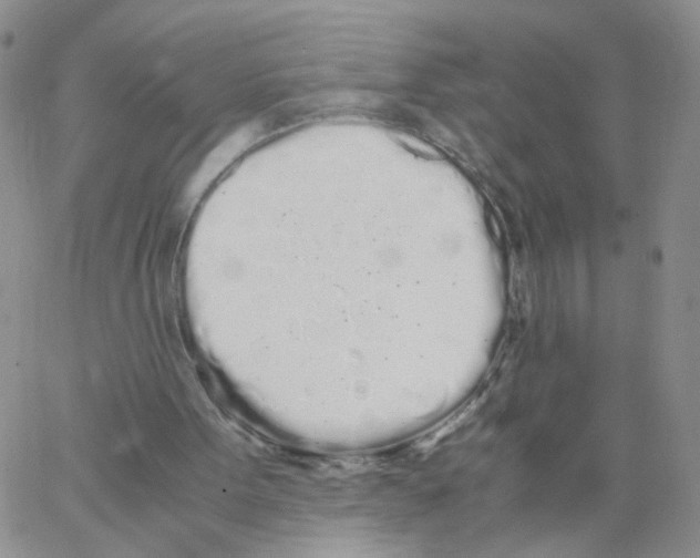 X0000062900099200602101817