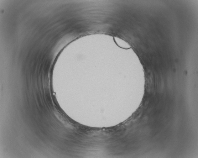 X0000062900100200602101817