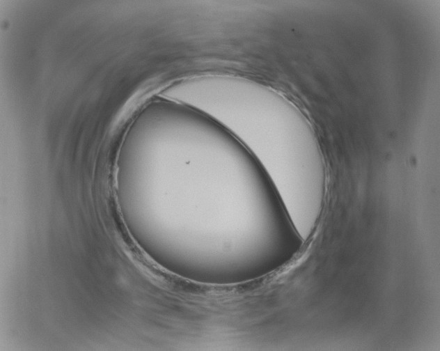 X0000062900101200602101817