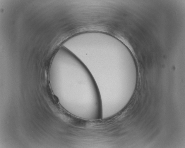 X0000062900109200602101817