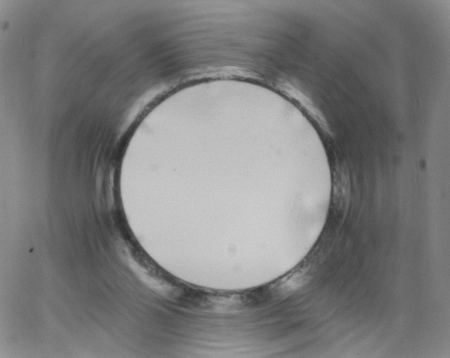 X0000062900110200602101817