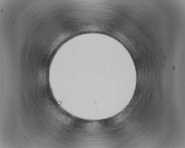 X0000062900112200602101817