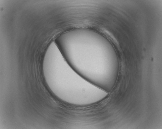 X0000062900113200602101817